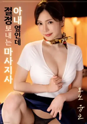 韩国电影素媛海报